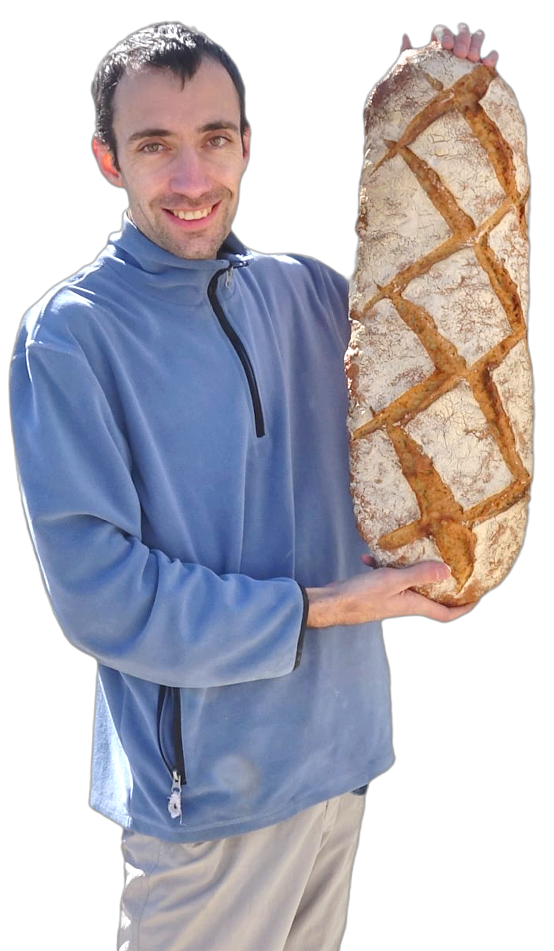 Pain aux blés anciens T80