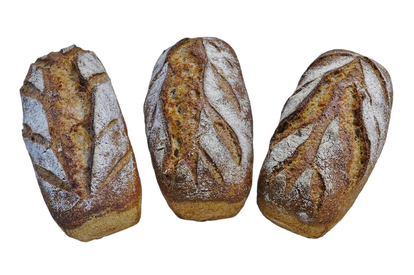 Pain aux blés anciens T110