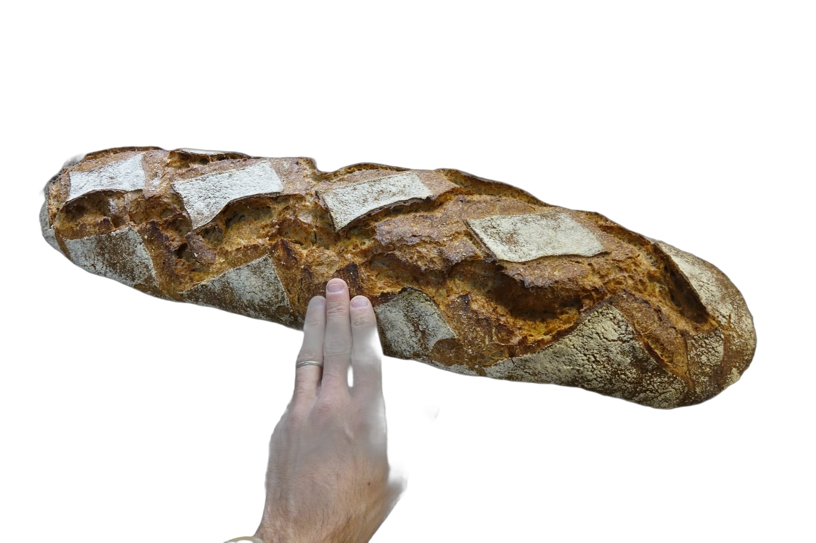 Pain aux blés anciens T110