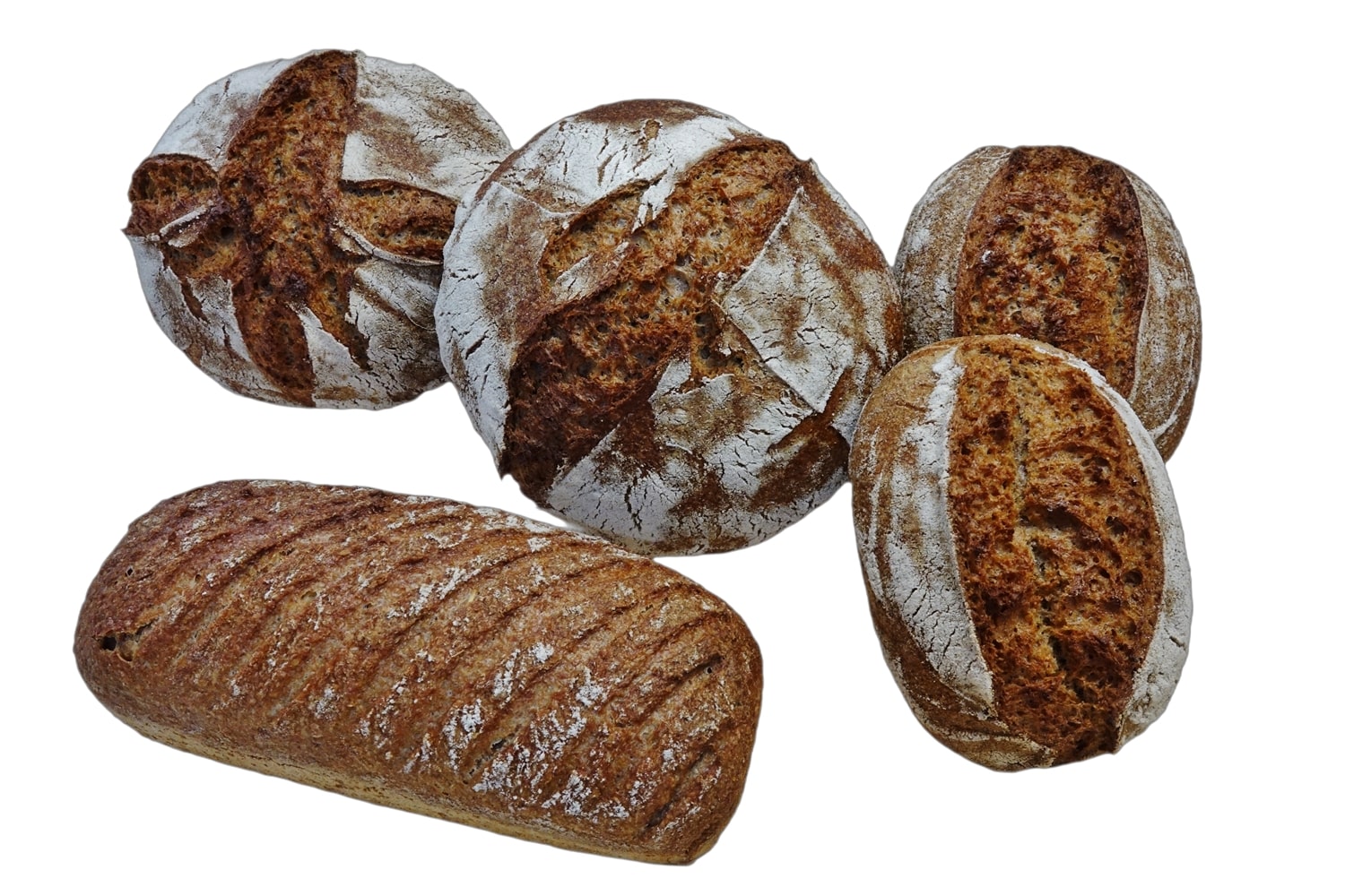 Pain complet aux blés anciens avec son bio