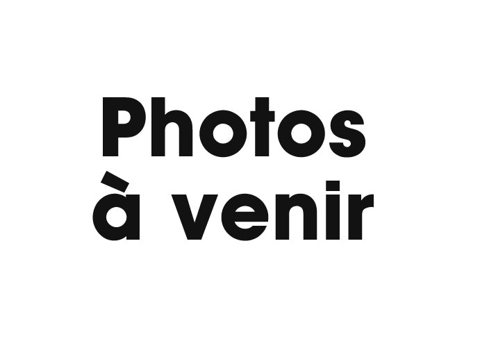 Bugne (par tranche de 100g)